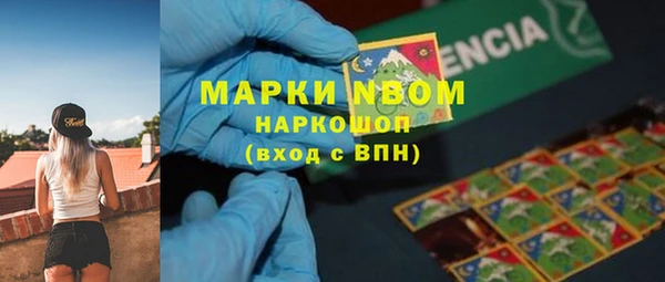 СК Балахна