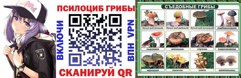 Галлюциногенные грибы мицелий  МЕГА ссылка  Кодинск  как найти наркотики 